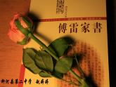 初中语文人教版（部编）八年级下册《傅雷家书》：选择性阅读 课件