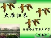 初中语文人教版（部编）八年级下册7大雁归来2 课件