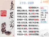 初中语文人教版（部编）八年级下册卖炭翁 课件
