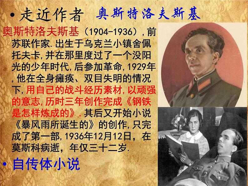 初中语文人教版（部编）八年级下册《钢铁是怎样炼成的》：摘抄和做笔记3 课件第5页