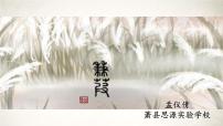 人教部编版八年级下册蒹葭教课课件ppt