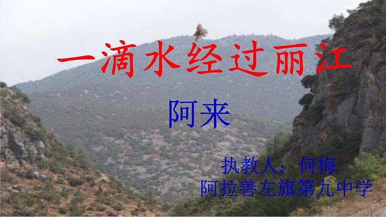 初中语文人教版（部编）八年级下册20一滴水经过丽江2 课件第3页