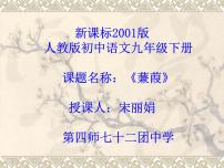 初中人教部编版蒹葭集体备课课件ppt
