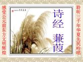初中语文人教版（部编）八年级下册蒹葭3 课件