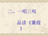 初中语文人教版（部编）八年级下册蒹葭3 课件