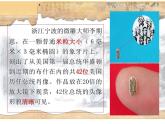 初中语文人教版（部编）八年级下册11核舟记3 课件