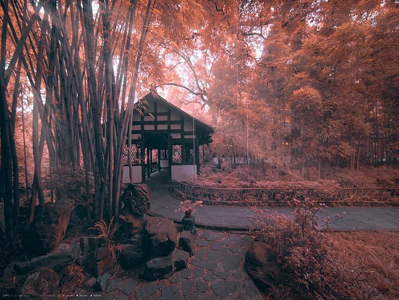 初中语文人教版（部编）八年级下册茅屋为秋风所破歌2 课件03