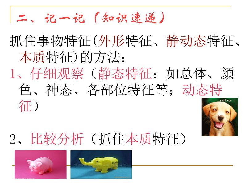 初中语文人教版（部编）八年级下册说明的顺序 课件第6页