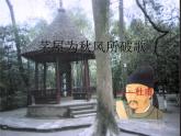 初中语文人教版（部编）八年级下册茅屋为秋风所破歌4 课件