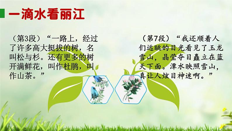 初中语文人教版（部编）八年级下册20一滴水经过丽江2 课件05