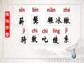 初中语文人教版（部编）八年级下册卖炭翁4 课件