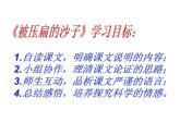 初中语文人教版（部编）八年级下册被压扁的沙子 课件