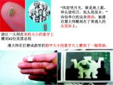 初中语文人教版（部编）八年级下册11核舟记2 课件