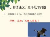 初中语文人教版（部编）八年级下册7大雁归来5 课件