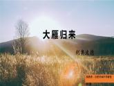 初中语文人教版（部编）八年级下册7大雁归来2 课件