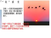 初中语文人教版（部编）八年级下册7大雁归来2 课件