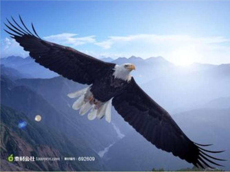 初中语文人教版（部编）八年级下册北冥有鱼1 课件04