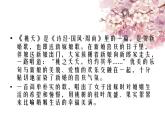 初中语文人教版（部编）八年级下册子衿2 课件