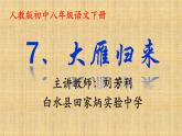 初中语文人教版（部编）八年级下册7大雁归来3 课件