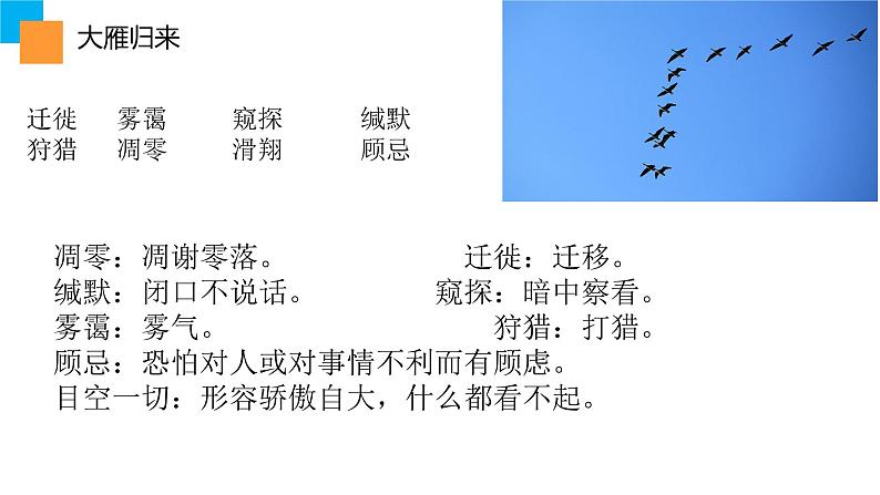 初中语文人教版（部编）八年级下册7大雁归来 课件02
