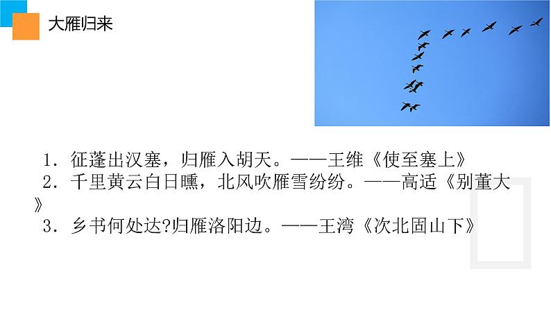 初中语文人教版（部编）八年级下册7大雁归来 课件06