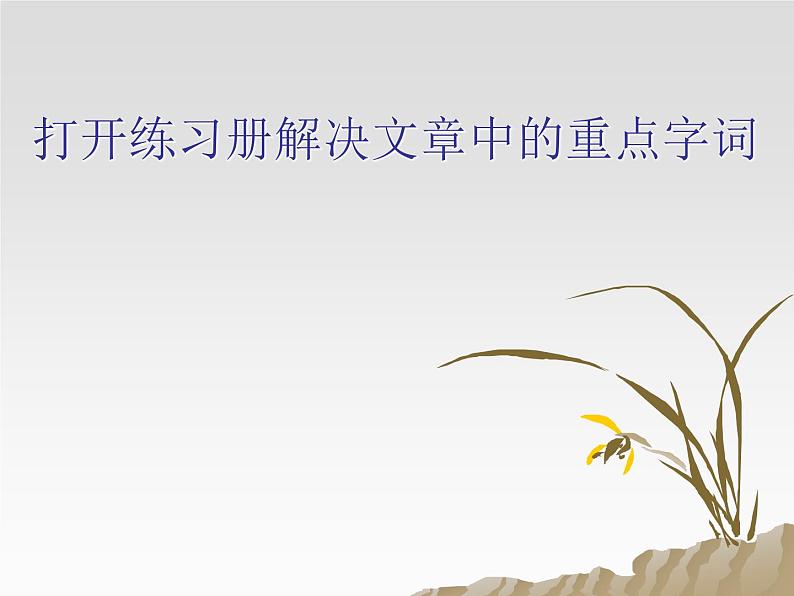 初中语文人教版（部编）八年级下册15我一生中的重要抉择 课件04