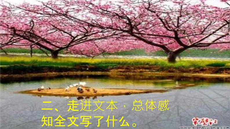 初中语文人教版（部编）八年级下册9桃花源记3 课件第4页