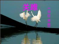 人教部编版八年级下册第三单元12《诗经》二首关雎图片课件ppt