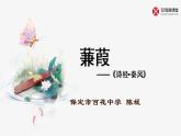 初中语文人教版（部编）八年级下册蒹葭2 课件