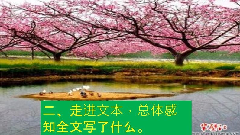 初中语文人教版（部编）八年级下册9桃花源记2 课件第4页