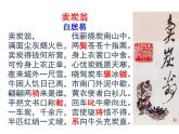 初中语文人教版（部编）八年级下册卖炭翁5 课件