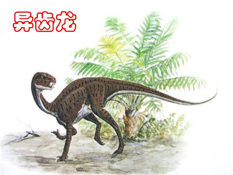 初中语文人教版（部编）八年级下册恐龙无处不有 课件第2页