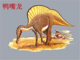 初中语文人教版（部编）八年级下册恐龙无处不有 课件