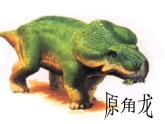 初中语文人教版（部编）八年级下册恐龙无处不有 课件