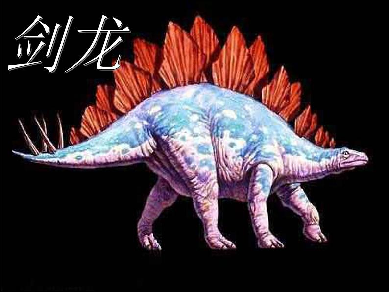 初中语文人教版（部编）八年级下册恐龙无处不有 课件第7页