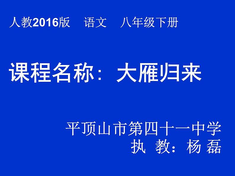 初中语文人教版（部编）八年级下册7大雁归来 课件01