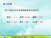 初中语文人教版（部编）八年级下册7大雁归来 课件