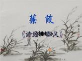 初中语文人教版（部编）八年级下册蒹葭4 课件