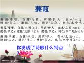 初中语文人教版（部编）八年级下册蒹葭4 课件