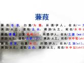 初中语文人教版（部编）八年级下册蒹葭4 课件