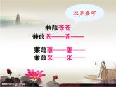 初中语文人教版（部编）八年级下册蒹葭4 课件