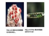 初中语文人教版（部编）八年级下册11核舟记1 课件