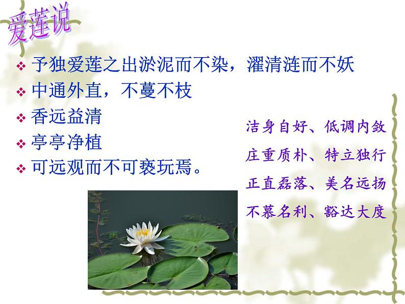 初中语文人教版（部编）八年级下册9桃花源记 课件08