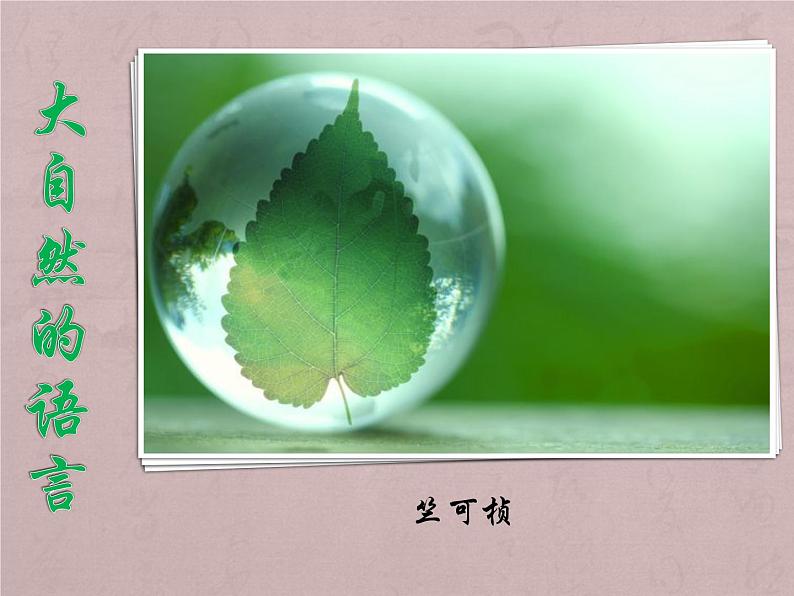 初中语文人教版（部编）八年级下册5大自然的语言2 课件第1页