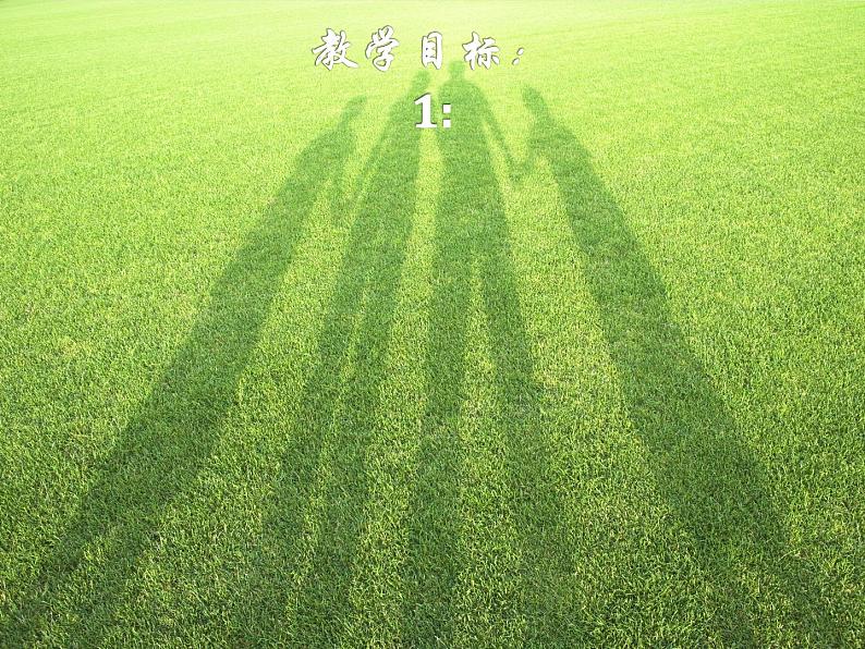 初中语文人教版（部编）八年级下册5大自然的语言2 课件第2页