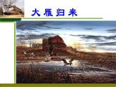 初中语文人教版（部编）八年级下册7大雁归来1 课件