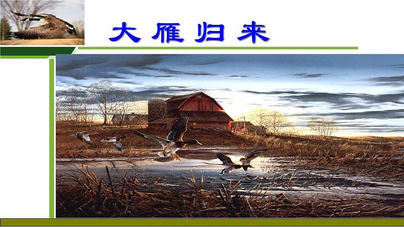 初中语文人教版（部编）八年级下册7大雁归来1 课件01