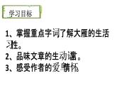 初中语文人教版（部编）八年级下册7大雁归来1 课件