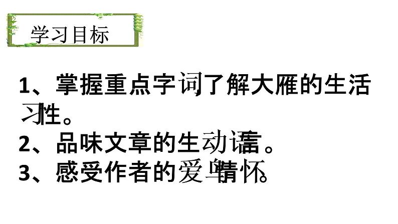 初中语文人教版（部编）八年级下册7大雁归来1 课件03