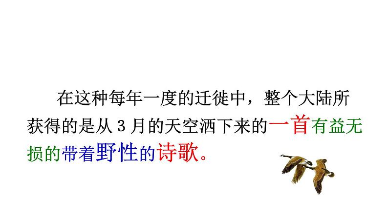 初中语文人教版（部编）八年级下册7大雁归来1 课件05